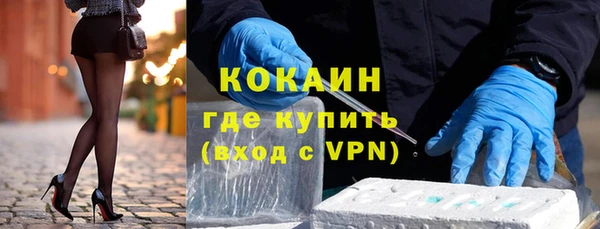 крисы Баксан
