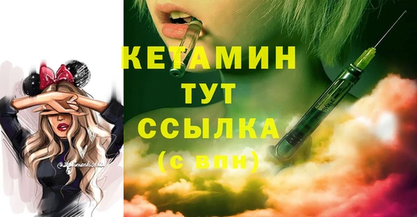крисы Баксан