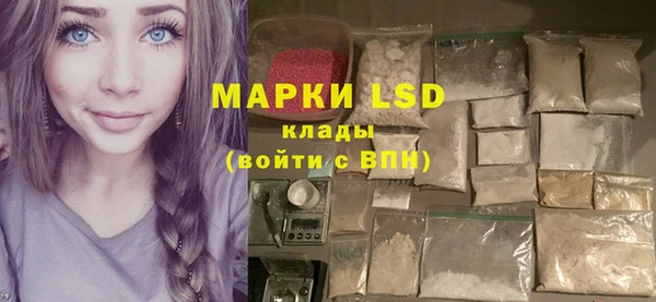 крисы Баксан