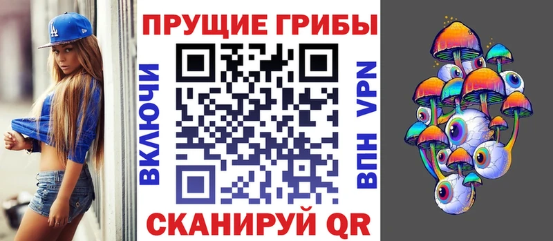 наркота  Петухово  ОМГ ОМГ ТОР  Галлюциногенные грибы ЛСД 