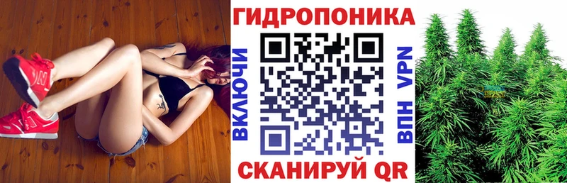 цена наркотик  Петухово  Канабис ГИДРОПОН 